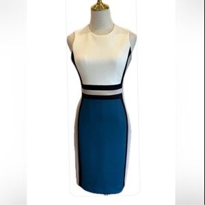 Calvin Klein Jewel Neck Sleeveless Color Block Sheath Dress 2